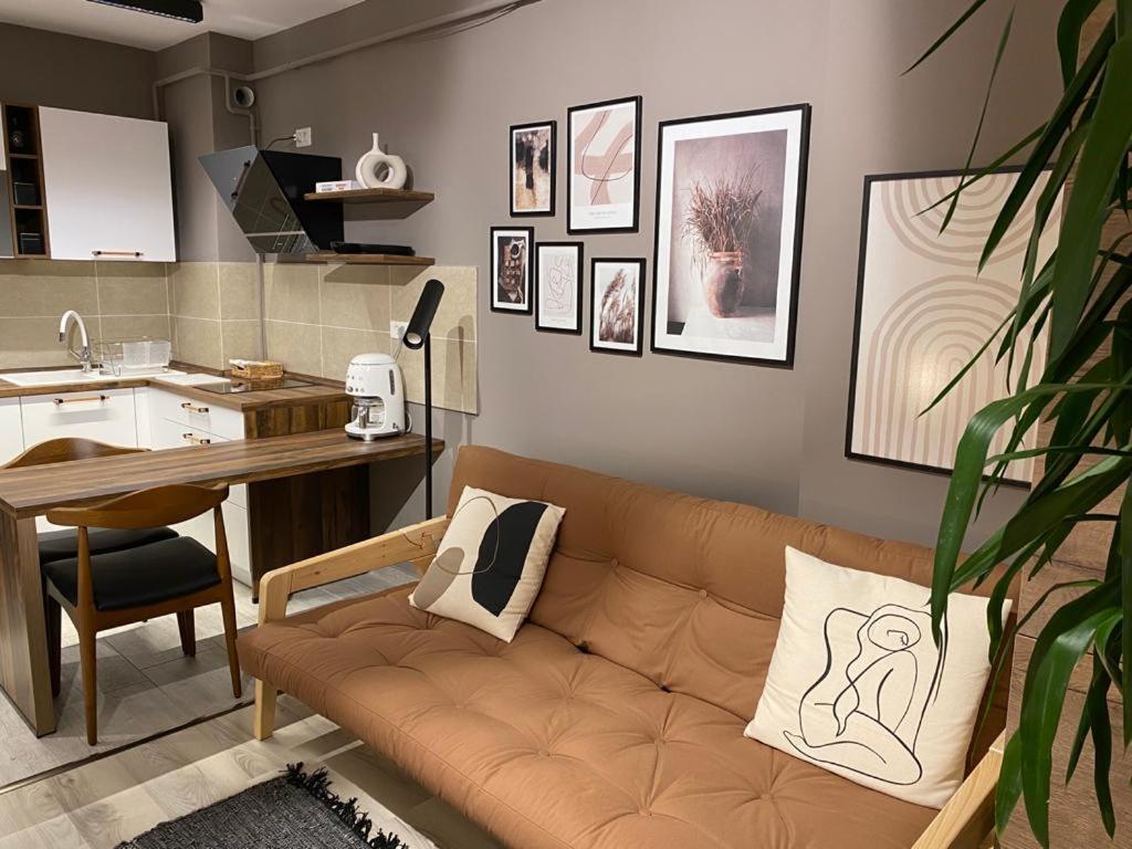 Shi Zi Junior Suite Ιάσιο Εξωτερικό φωτογραφία