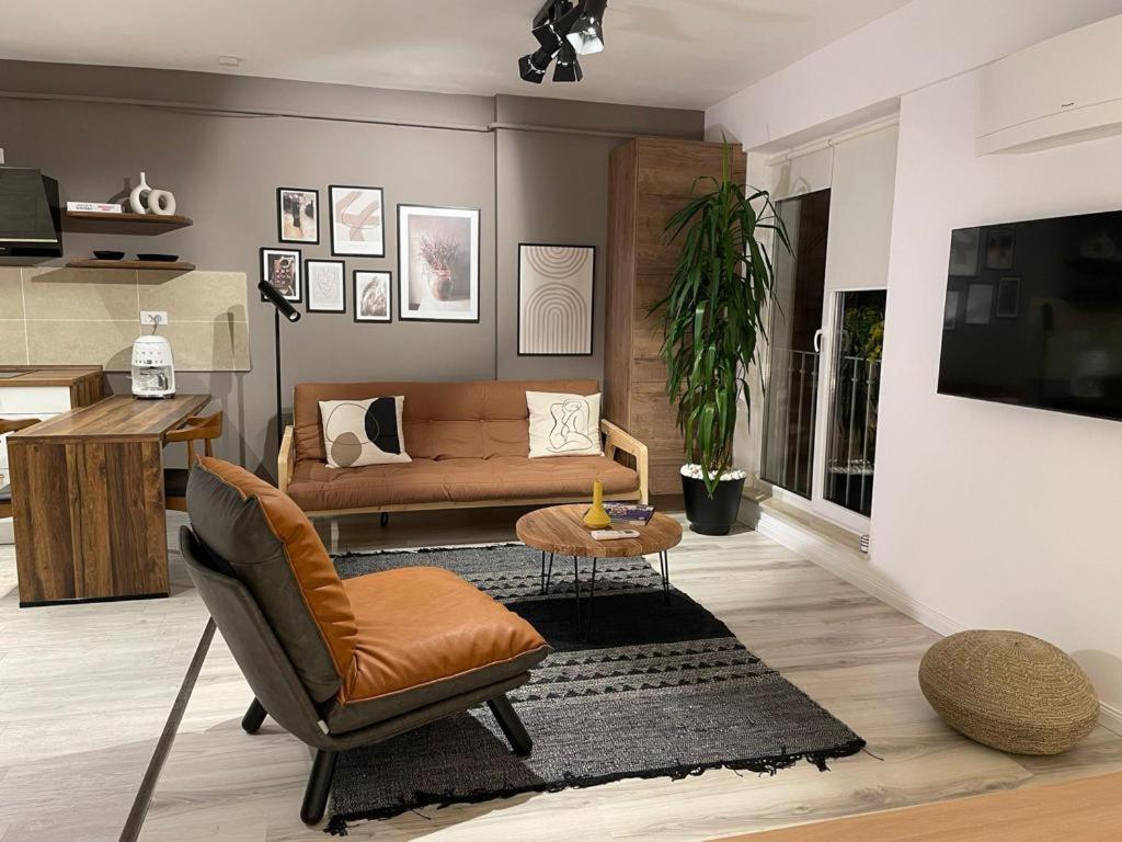 Shi Zi Junior Suite Ιάσιο Εξωτερικό φωτογραφία
